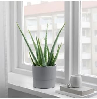 Alternative view of SUMUHOME NYPON DEKORATİF PLASTİK SAKSI GRİ 15 CM