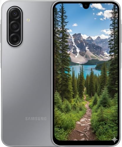Galaxy A17 4/128 GB Gri