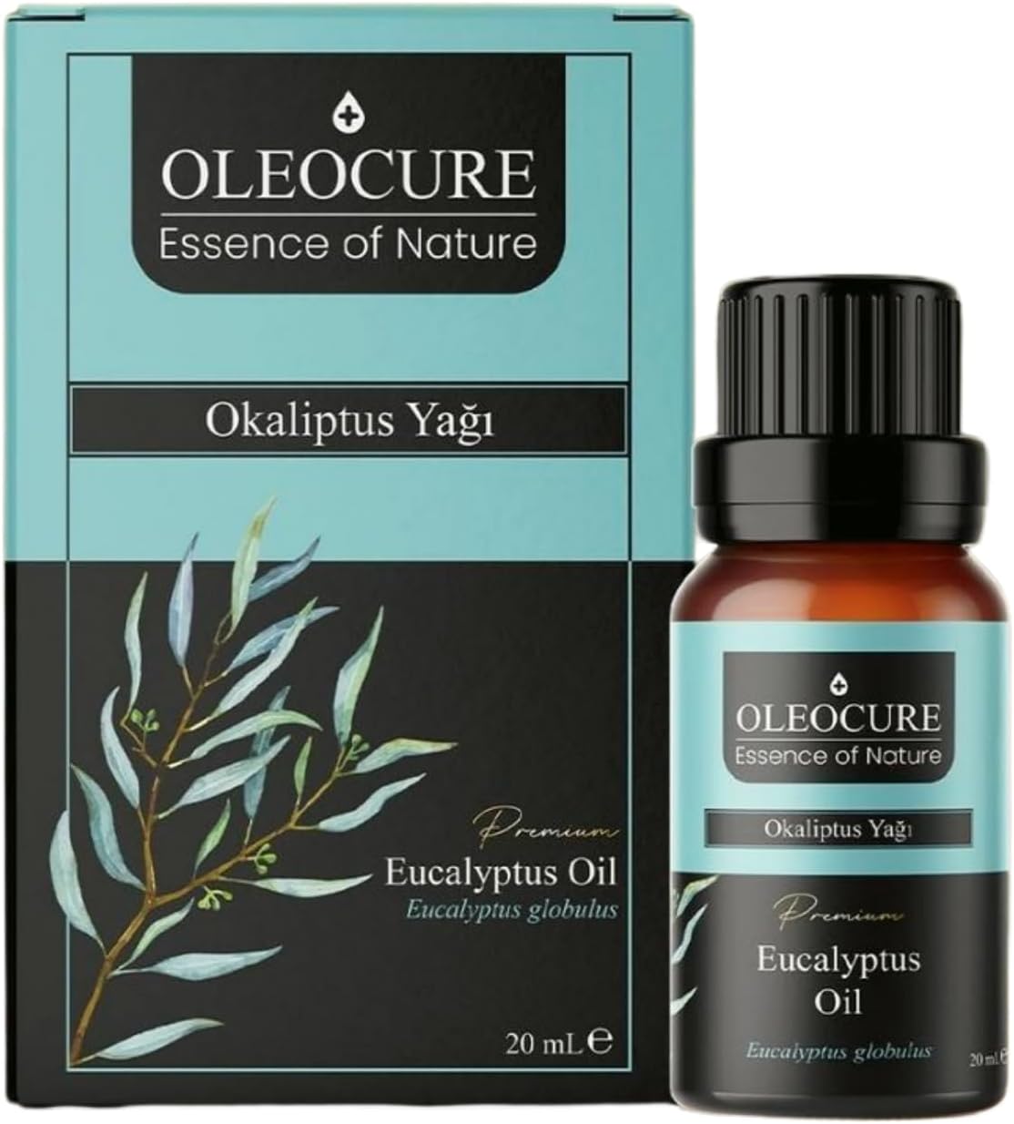 OleoCure Okaliptus Yağı (Eucalyptus Oil) 20 mL