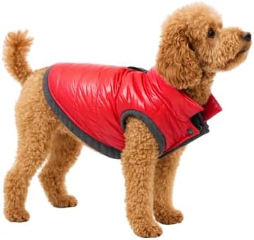 Oli and Lui KIRMIZI Su Geçirmez Kapitone Köpek Montu – Gezdirme Halkalı (Kırmızı, XS)