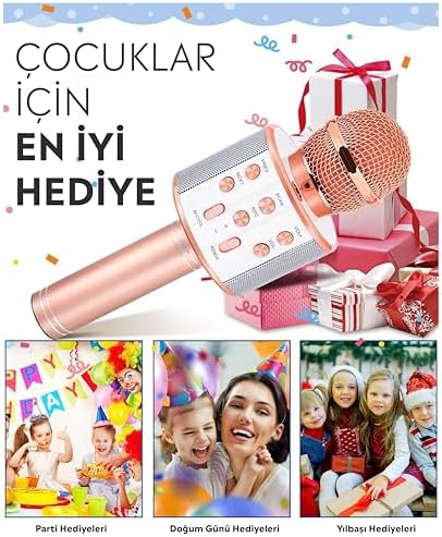 C-8501 Karaoke Mikrofon Bluetooth USB & TF & Aux (Rosegold)