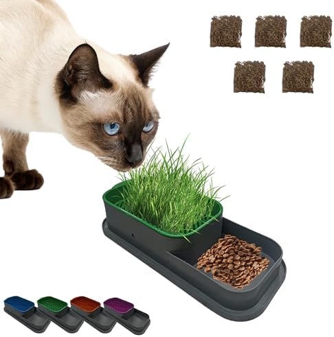 Alternative view of Topraksız Kedi Çimi Kabı Yeşil – 5 Paket Çim Tohumlu Hidroponik Çim Yetiştirme Seti – Kediler için Doğal Çim Yetiştirme Kutusu – Evde Kolay Çimlendirme ve Sindirim Desteği