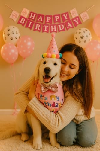 Köpek Kedi Doğum Günü Seti Bandana Şapka Afiş Parti Dekorasyonu, Şapyon Tasma Aksesuarı, Erkek ve Dişi Evcil Hayvanlar İçin (Pembe)