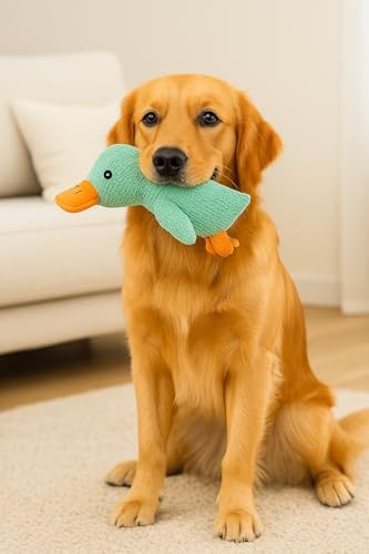 Köpek Oyuncağı Ördek Şekilli Peluş Sesli ve Hışırtılı Dayanıklı Çiğneme ve Isırma Oyuncağı Anti Yumuşak Peluş Köpek Eğitim ve Oyun Oyuncağı (Yeşil)