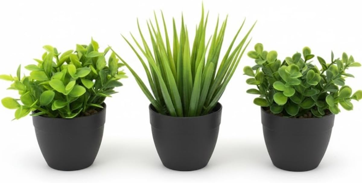 Üçlü Mini Yapay Sukulent Seti – 8 cm Saksı, Dekoratif Küçük Bitki Seti, Gerçekçi Görünüm, Salon Ofis Ev Masa Üstü Süs Bitkisi, Bakım Gerektirmez, Modern Dekor (SİYAH)