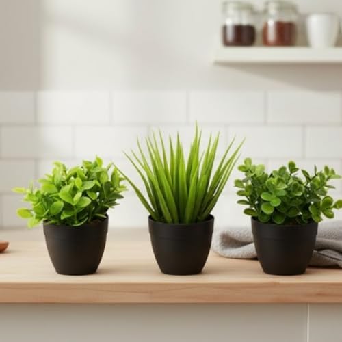 Alternative view of Üçlü Mini Yapay Sukulent Seti – 8 cm Saksı, Dekoratif Küçük Bitki Seti, Gerçekçi Görünüm, Salon Ofis Ev Masa Üstü Süs Bitkisi, Bakım Gerektirmez, Modern Dekor (SİYAH)