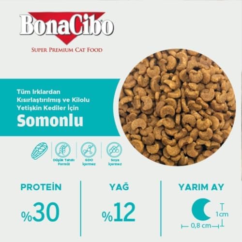 BonaCibo Adult Cat Sterilised Somonlu 2 Kg