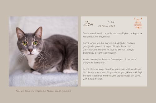 Alternative view of Pet Sitter Istanbul 2026 Takvim, Kurtarılan Kediler ve Farkındalık Günleri, Evcil Hayvan Tatilleri Temalı Masa Takvimi