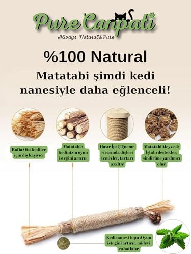 Kedi Naneli Matatabi Çubuğu– Kediler Için Doğal Oyun ve Mutluluk 3 Adet