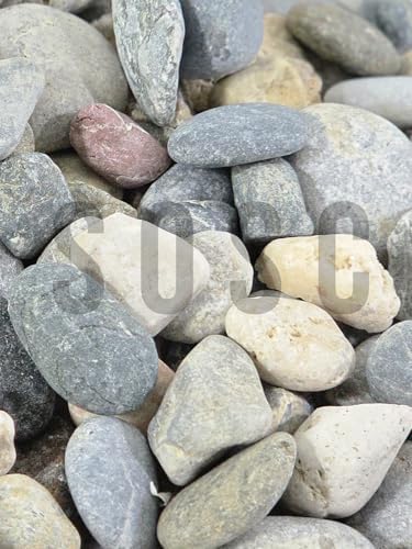 Alternative view of Doğal Nazilli Dere Çakıl Taşı, Tamburlanmış Dekoratif Taş, Renkli Dolomit, 2-4 cm, 3 Kg, Saksı Dibi, Akvaryum ve Bahçe Düzenleme