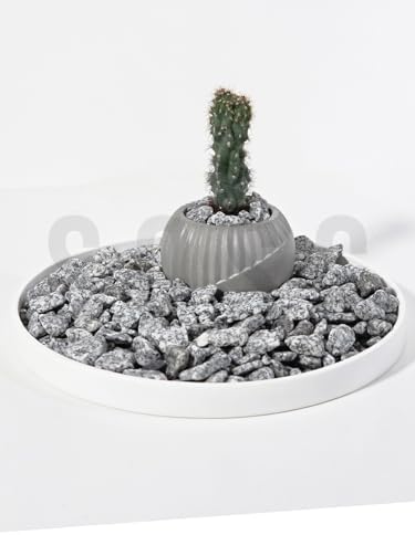 Alternative view of Natural Granit Dekoratif Çakıl Taşı, Gri Beyaz, 1-2 cm, 1 Kg, Bahçe Peyzaj Saksı Akvaryum Teraryum için Dolomit Taş