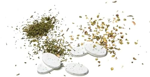 Alternative view of Diş Fırçası için Vegan Hijyenik Koruyucu Mavi Kap (3 paketi)