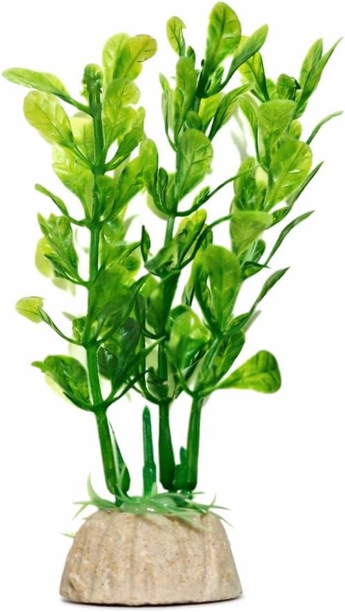 Alternative view of PB15 - Plastik Akvaryum Bitkisi 10 cm