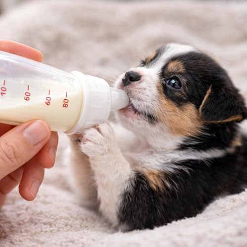 Alternative view of Yavru Kedi Köpek Biberonu 50 ml – Evcil Hayvan Süt ve Mama Besleme Şişesi Seti, Ölçekli Mini Tasarım, 2 Yedek Silikon Emzikli, Temizleme Fırçalı, Yeni Doğan ve Yetim Yavru Bakım Aparatı