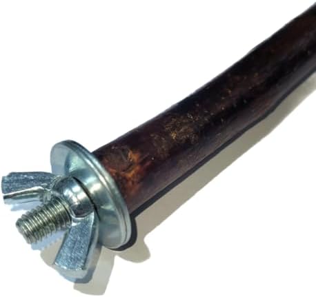 Doğal Dal Kuş Tüneği, Ahşap Kuş Dalı, Metal Bağlantı Aparatlı Tünek (22 cm) - Muhabbet Kuşları, Kanarya, Cennet Papağanı için