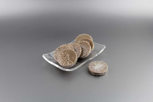 20 Gr Premium Tarçın Özlü Hediyelik Sabun - 500 Adet Koli - Doğal Aromatik Sargılı Mini Sabun - Otel, Airbnb, Düğün ve Organizasyonlar İçin İdeal Boy