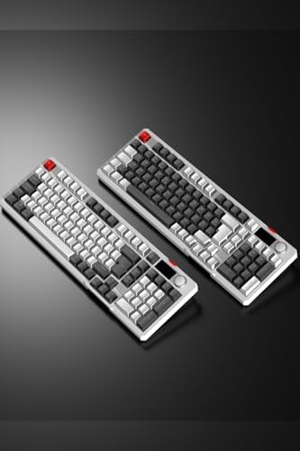 LOYAL Pro Beyaz/Gri 3 BT + 2.4 IPS Ekranlı Red Switch RGB Mekanik Kablosuz Klavye
