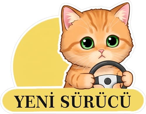 Yeni Sürücü Sevimli Kedi Araba Etiketi &