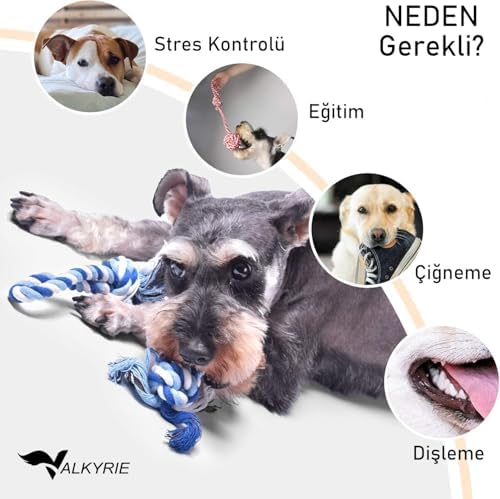 4’lü Köpek Diş İpi Oyuncağı Seti Isırma Çekiştirme Eğitim Toplu Halat Oyuncak