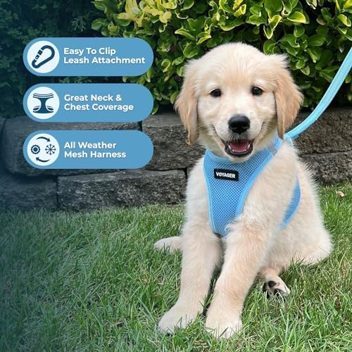 Alternative view of Voyager -in Air All Weather File Kablo Demeti ve Yansıtıcı Köpek 1,5 m Neopren Saplı Tasma Kombo Pet Supplies tarafından Küçük, Orta ve Büyük Irk Yavrular için - Tasma Koşum Takımı (Bebek