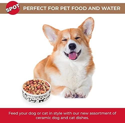 Alternative view of SPOT I Dogs Tabağı - Yuvarlak Seramik Yemek/Evcil Hayvanlar için Yüksek Duvarlı Su Kasesi, Bulaşık Makinesinde Yıkanabilir, Küçük Köpekler, Kediler, Sürüngenler, Büyük Kuşlar, 12,7 cm, 1,75