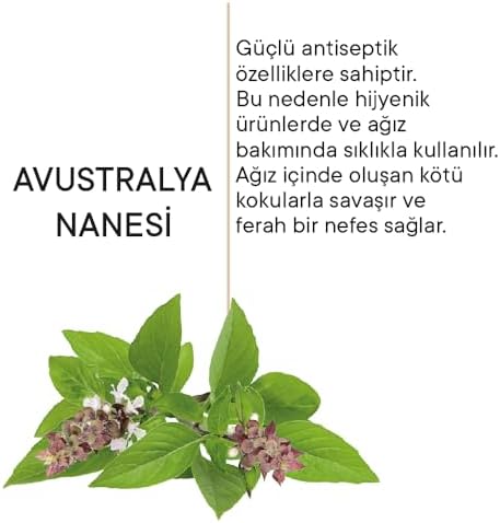 Avustralya Nanesi Özlü Diş Temizleme ve Beyazlatma Mendili (4 paketi)