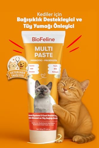 Biofeline Multivitamin Macun 100g (2 paketi)
