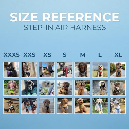 Voyager -in Air Dog Harness - Pet Supplies tarafından Küçük ve Orta Boy Köpekler için Tüm Hava Koşullarına Uygun Örgü Adım Yeleği - Koşum Takımı (Fuşya), XX-Small (2 paketi)
