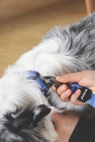 Alternative view of GENTLE DOG GEZDİRME KAYIŞI (M) BLUE (2 paketi)
