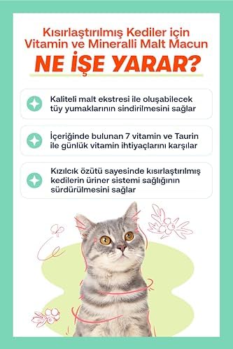 Biofeline Kısır Kediler İçin Multivitaminli Malt Macun 100g ve Sterile Paste (3 paketi)