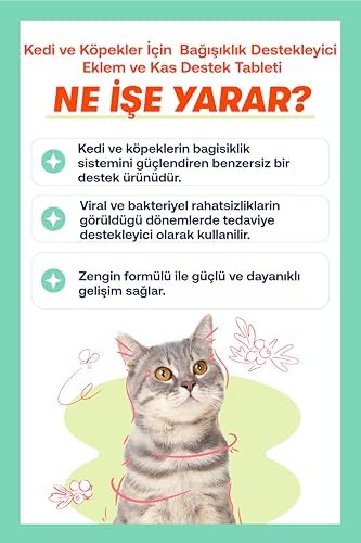 Alternative view of Biofeline Immune C Tablet ve Kedi ve Köpekler İçin Bağışıklık Sistemi Desteği ve 75 Tablet (2 paketi)