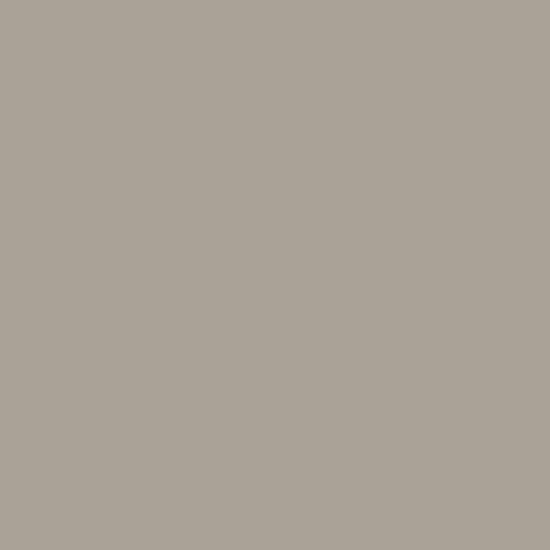 Alternative view of Albrecht Durer - Warm Grey III 272