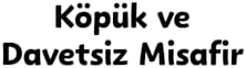 Köpük ve Davetsiz Misafir