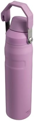 Aerolight IceFlow İçecek Şişesi, 0.60 Litre, Lila