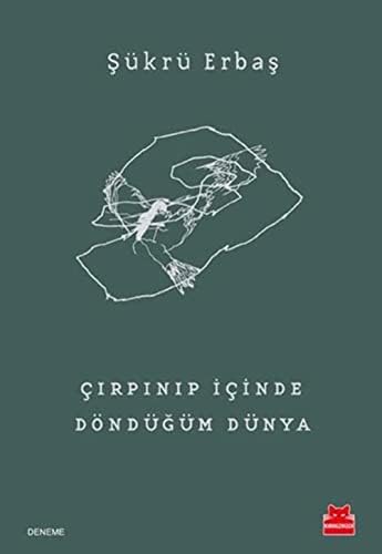 Alternative view of Çırpınıp İçinde Döndüğüm Dünya