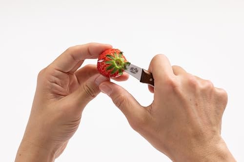 5.3100 Dekor Bıçağı