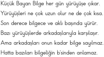 Alternative view of Küçük Bayan Bilge