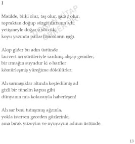 Yüz Aşk Sonesi