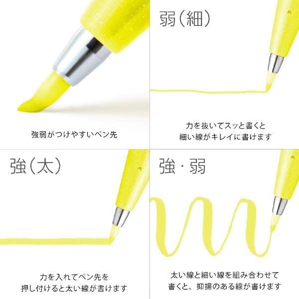 Alternative view of Sing Pen Brush SARI