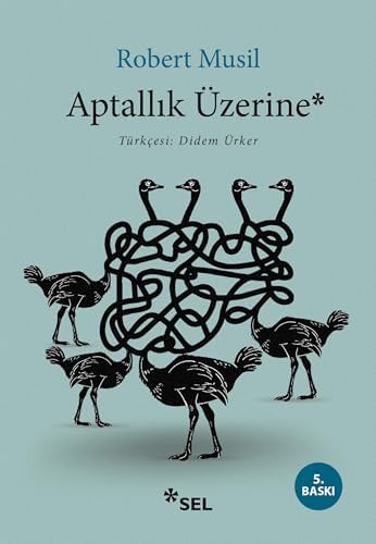 Alternative view of Aptallık Üzerine