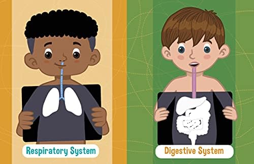 Jumbo Stickers for Little Hands: Human Body: Includes 75 Stickers: Volume 1