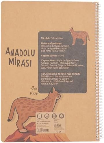 Alternative view of Anadolu Mirası Spiralli Defter, A4, 100 Yaprak, 70g Kağıt, Çizgili, 500 Mikron PP Kapak, PET Spiralli, Asorti Renkler, Dayanıklı ve Ergonomik Kullanım