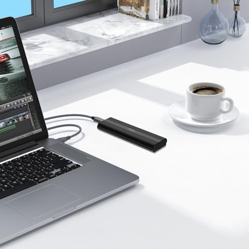USB Type-C & USB A 3.2 Gen 1 10Gbps PCIe NVMe M.2 Sata SSD Disk Kutusu