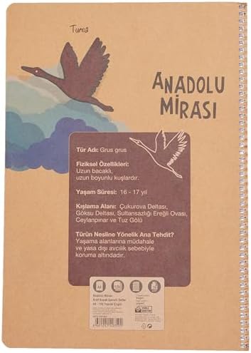 Alternative view of Anadolu Mirası Spiralli Defter, A4, 120 Yaprak, 70g Kağıt, Çizgili, Dayanıklı Kapak, Kolay Açılan Spiral Cilt, Asorti Renkler