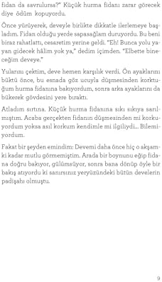 Sekizinci Günün Güneşi