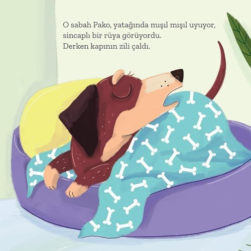 Alternative view of Pako'nun Günü