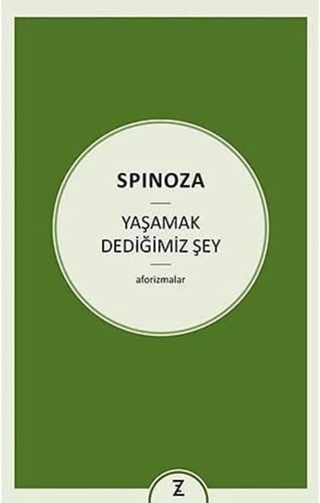 Yaşamak Dediğimiz Şey