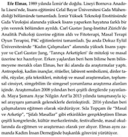 Alternative view of Labirent