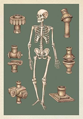 Anatomicum Postcard Box