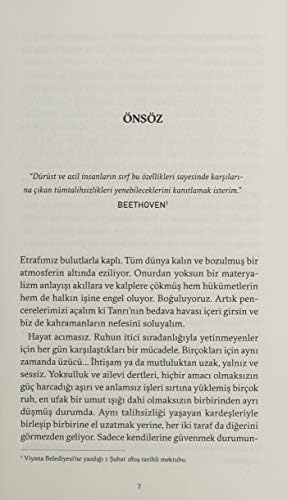 Alternative view of Beethoven: Aklın Sınırlarını Aşmak